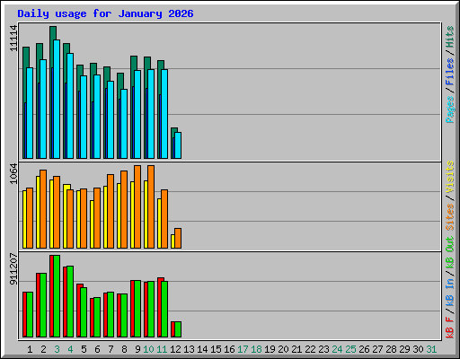 Daily usage for January 2026