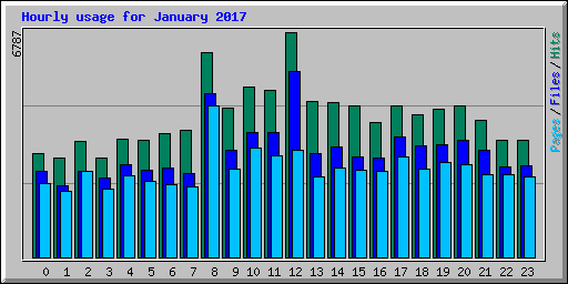 Hourly usage for January 2017