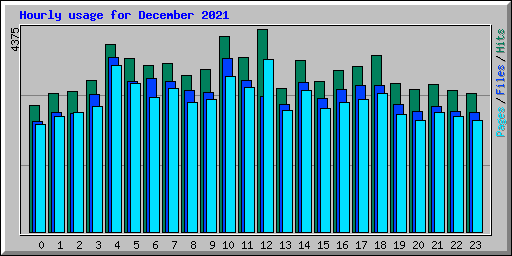 Hourly usage for December 2021