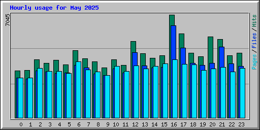 Hourly usage for May 2025