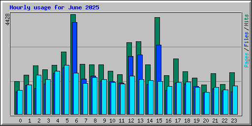 Hourly usage for June 2025
