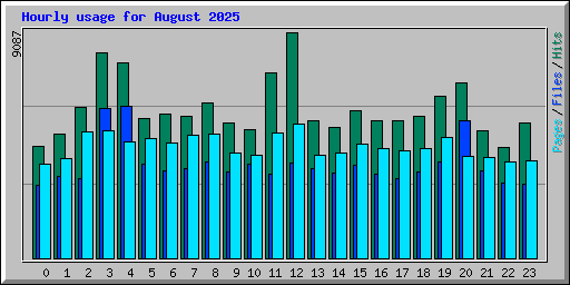 Hourly usage for August 2025