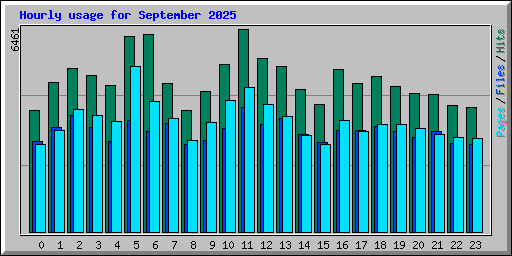 Hourly usage for September 2025