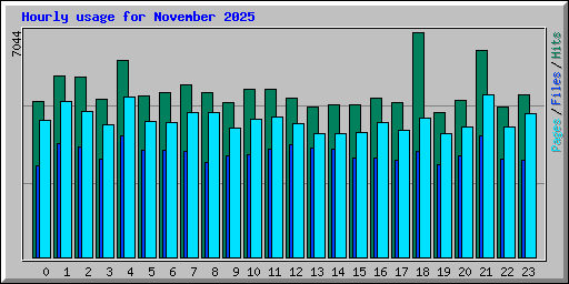 Hourly usage for November 2025