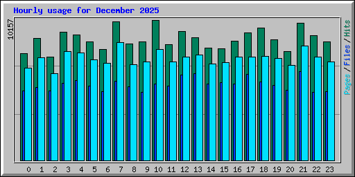 Hourly usage for December 2025