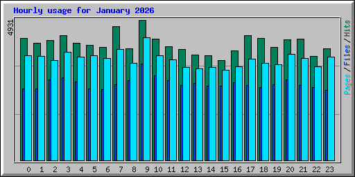 Hourly usage for January 2026