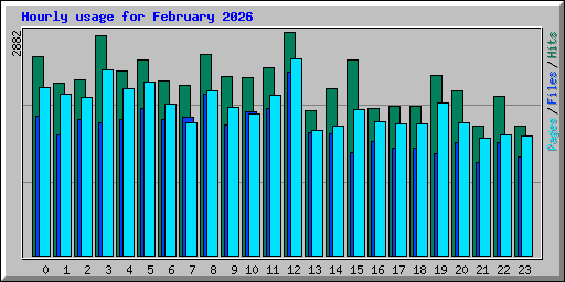 Hourly usage for February 2026